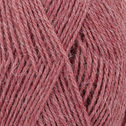 DROPS Alpaca
